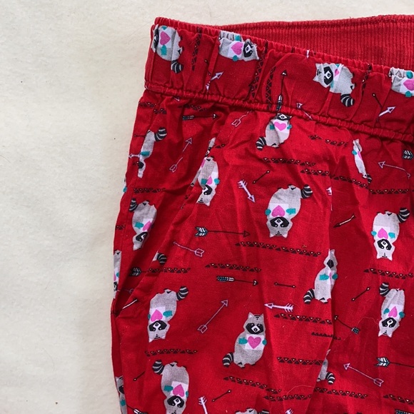 AEO 2 Pairs Bundle Flannel Sleep Pants - 2 Pair Size M (1 pair is NWT) - Picture 4 of 12